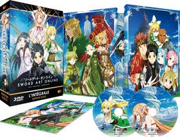 Sword Art Online - Arc 2 (ALO) - Coffret DVD + Livret - Edition Gold - VOSTFR/VF